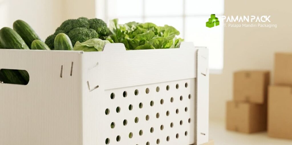 Box sayur plastik PP putih berventilasi berisi sayuran segar